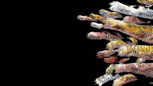 Nyaight of the Living Cat Bild 3