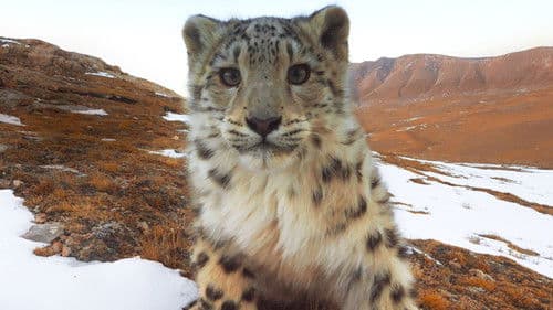 Ghost of the Mountains Bild 4