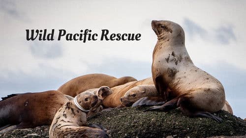 Wild Pacific Rescue Bild 1