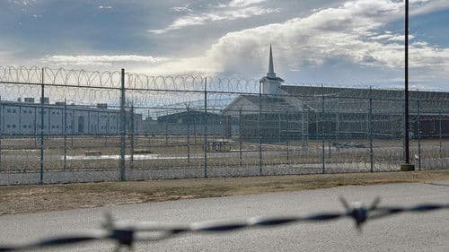 Amerikas Geschlechterkampf Bild 3