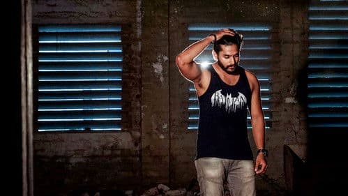 கார்கில் Bild 4