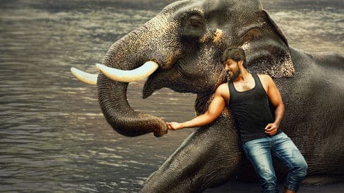 ராஜபீமா Bild 1