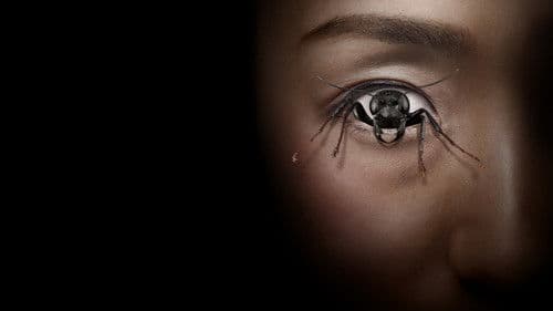 Control Freak Bild 4