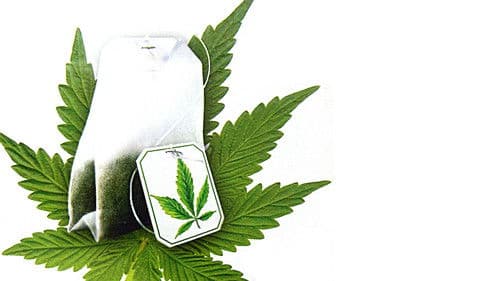 Grasgeflüster Bild 3