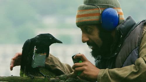 Four Lions Bild 7