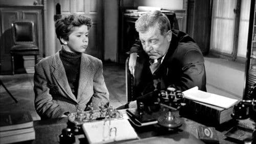 Wie verlorene Hunde Bild 4