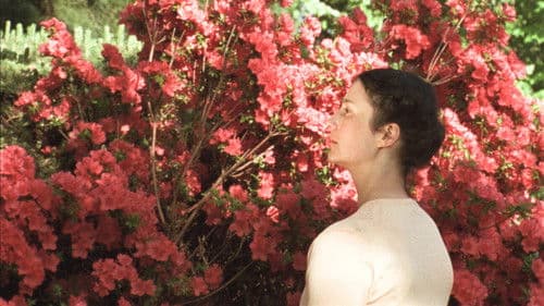 A Thousand Waves Away Bild 1