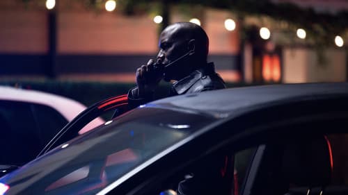 Hollywood Grit Bild 2