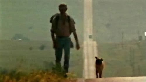 Hambone and Hillie Bild 3