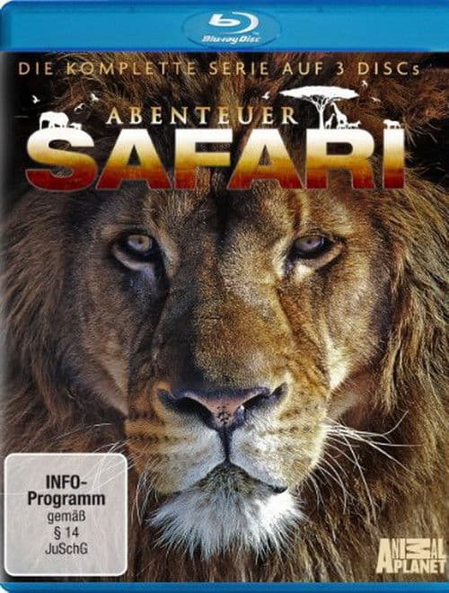 Abenteuer Safari