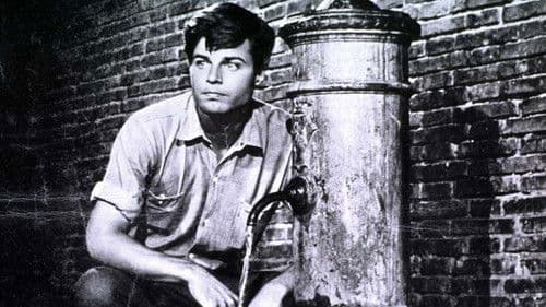 Es geschah in Rom Bild 2