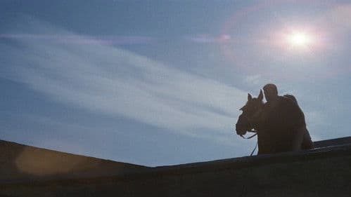 Sag niemals nie Bild 8