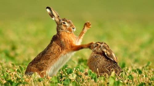 Magische Momente der Natur Bild 1