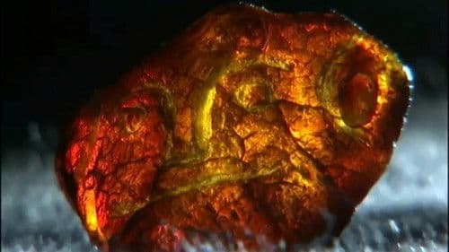 Terra X - Die Bernsteinstraße Bild 2