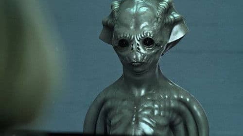 L'arrivo di Wang Bild 2