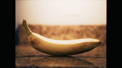 BANANAS Bild 1