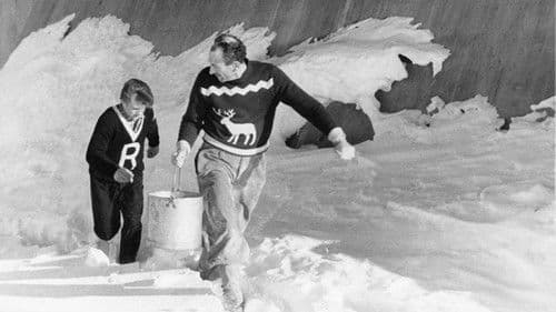 Il tempo si è fermato Bild 2