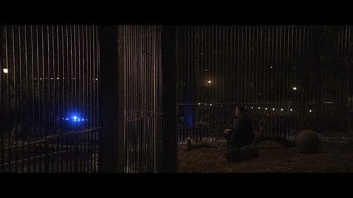 Anadolu Leoparı Bild 5