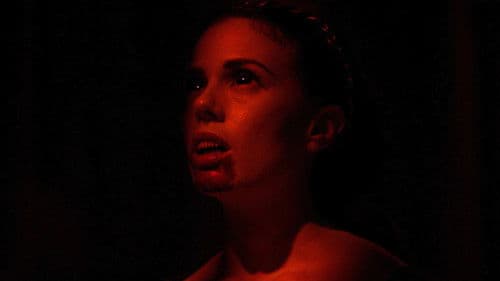 30 Days of Night: Dark Days Bild 3