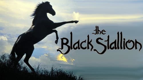 Der schwarze Hengst Bild 8