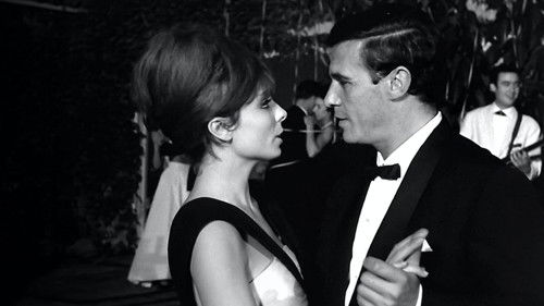 Noche de verano Bild 2