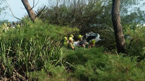 Mirage: Eigenstate Bild 3