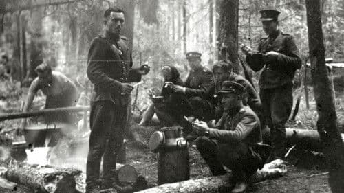 Nematomas Frontas Bild 1