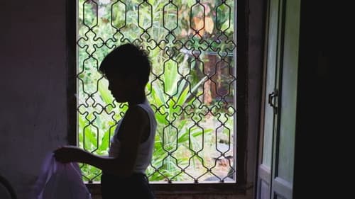 Kwarteleitjes Bild 1