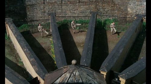 Släpp fångarne loss - det är vår! Bild 4