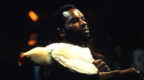 Scheiß auf den Tod Bild 1