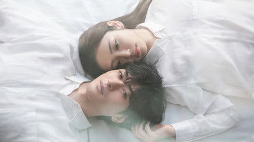 私の正しいお兄ちゃん Bild 1