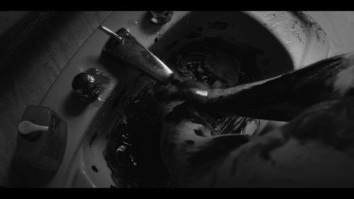 Seraph's Sorrow Bild 1