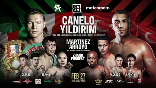 Canelo Alvarez vs. Avni Yildirim Bild 2