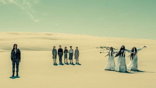 Czarne Stokrotki Bild 3