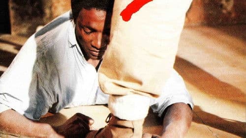 Arrêt sur image Bild 1