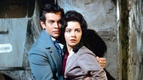 Die Verfluchten Bild 6