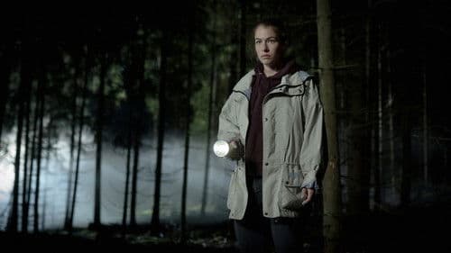 Schweigend steht der Wald Bild 3