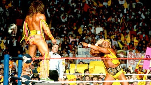 WWE WrestleMania VI Bild 4