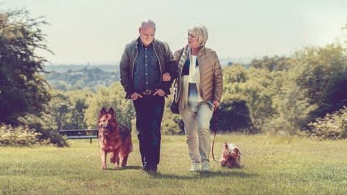 Mit Herz und Hund Bild 5