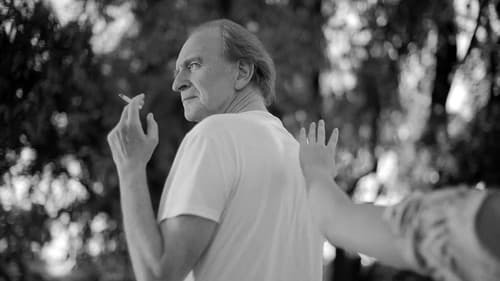 Пролећна песма Bild 3