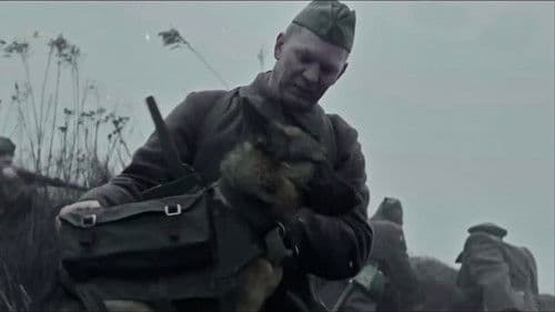 The War Dog Bild 1