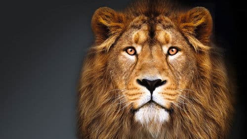 Die Höhle der Löwen Bild 2