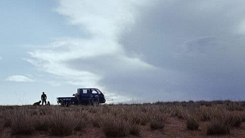 Out of Paradise Bild 5