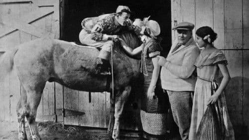 Black Oxfords Bild 1