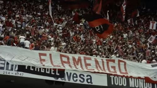 Flamengo Paixão Bild 2