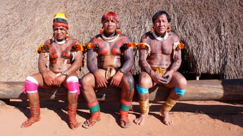 Lost Cities of the Amazon Bild 1