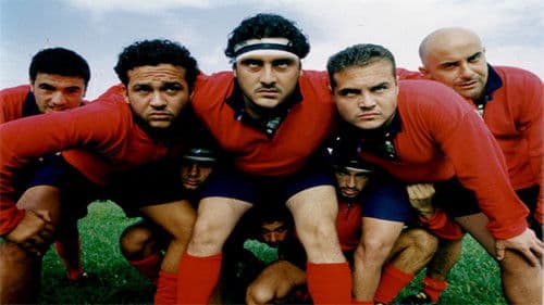 I cinghiali di Portici Bild 1