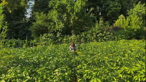 Latvijas Izmeklētāji Bild 3