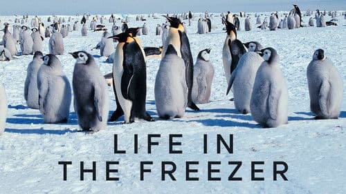 Life in the Freezer Bild 4