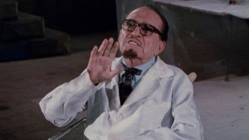 Draculas Bluthochzeit mit Frankenstein Bild 8